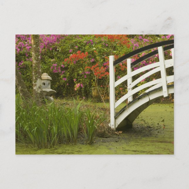 Cartão Postal Estados Unidos; Carolina do Sul; Charleston;2 (Frente)