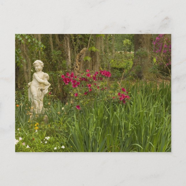 Cartão Postal Estados Unidos; Carolina do Sul; Charleston; 4 (Frente)