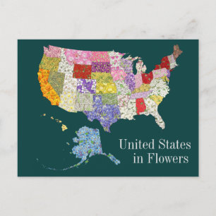 Cartão Postal Estados Unidos em Flores -Cartão-postal com Desig