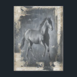 Cartão Postal Estalhão de Corrente Negra<br><div class="desc">Esta pintura de Ethan Harper é cativante. Ele capturou a beleza do garanhão associada a duas cores simples: preto e bege. Esta impressão de arte contemporânea de um garanhão negro vai adicionar personagem a qualquer sala de estar,  sala de jantar ou quarto.</div>