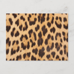 Cartão Postal estampa de leopardo selvagem chic feminino moderno
