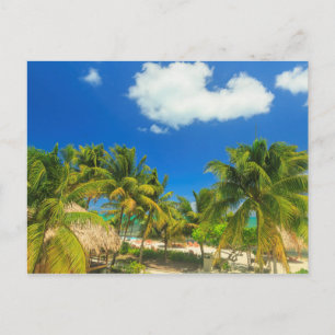 Cartão Postal Estância tropical de praia, Belize
