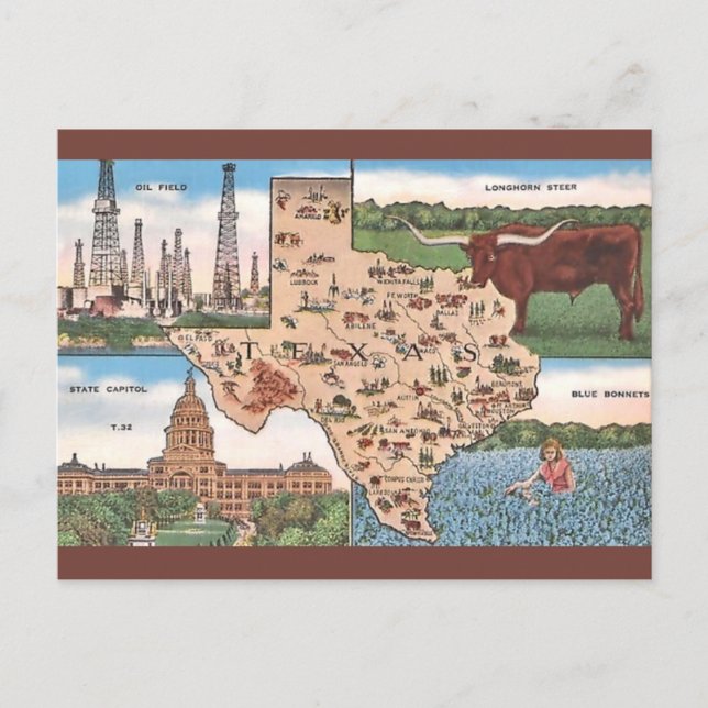 Cartão postal estatal Vintage Texas (Frente)