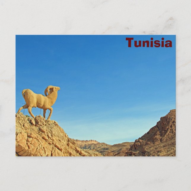 Cartão Postal Estátua de cabra da Tunísia (Frente)