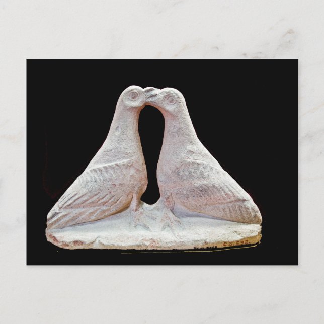 Cartão Postal Estatuto dos beija-flores do Museu de Chipre (Frente)