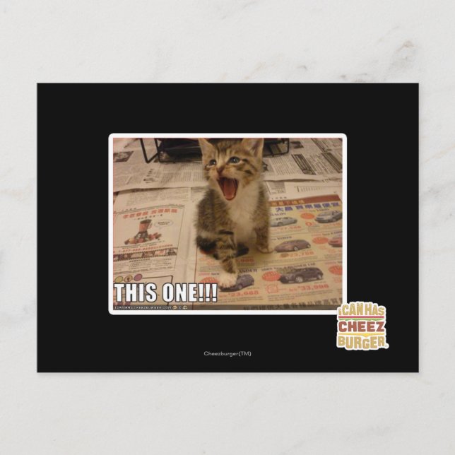 Cartão Postal Este! (Frente)