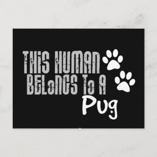 Cartão Postal Este Humano Pertence a um Pug