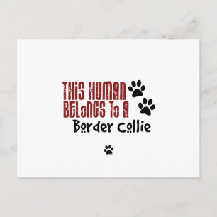 Cartão Postal Este Humano Pertence a uma Collie Fronteiriça