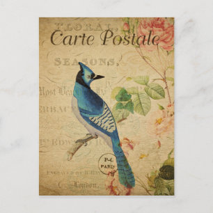 Cartão Postal Estilo de Vintage Blue Bird Carte Francês Postale