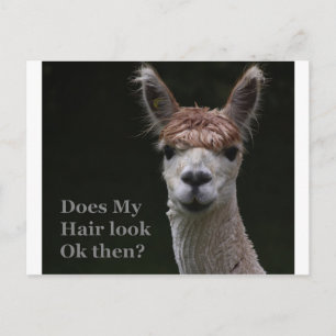 Cartão Postal Estilo engraçado do Alpaca