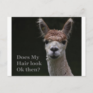 Cartão Postal Estilo engraçado do Alpaca