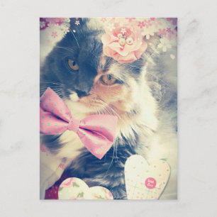 Cartão Postal Estilo Retroativo do Kitten Coon Cee