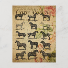 Cartão Postal Estilo Vintage Cavalos Negros Carte Francês Postal