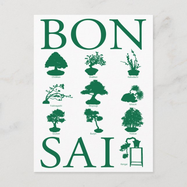 Cartão Postal Estilos Básicos da Árvore Bonsai (Frente)
