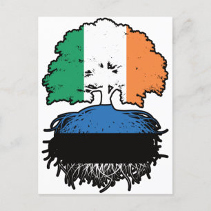 Cartão Postal Estônia Irlanda Estoniano Bandeira de Raízes de Ár