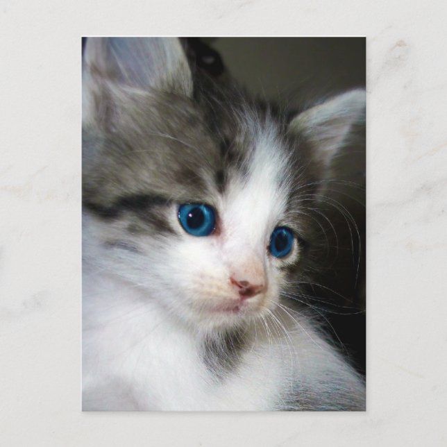 CARTÃO POSTAL ESTOU BONITA DA CABEÇA AO TOM (Frente)