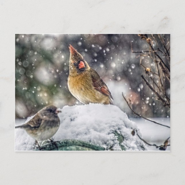 Cartão Postal Estou de olho em você (Frente)