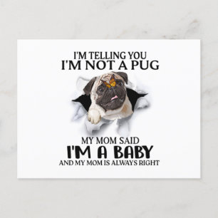 Cartão Postal Estou Dizendo Que Não Sou Um Pug Sou Um Amante de 