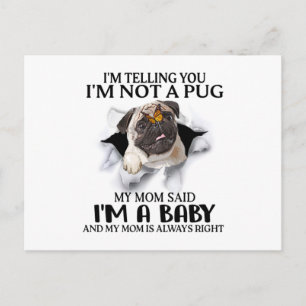 Cartão Postal Estou Dizendo Que Não Sou Um Pug Sou Um Amante de