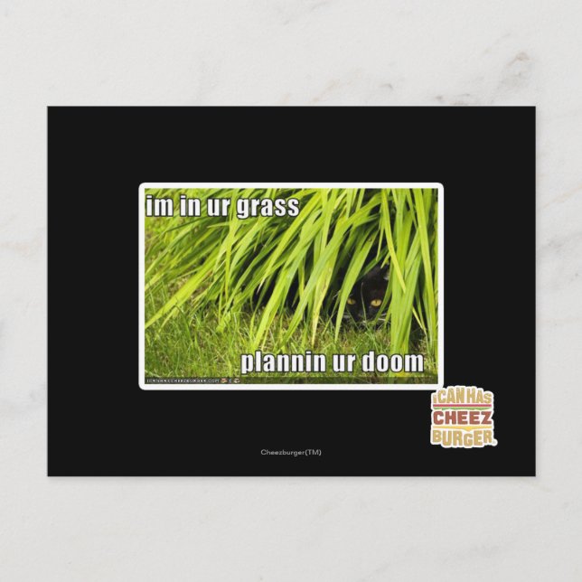 Cartão Postal Estou na nossa grama (Frente)
