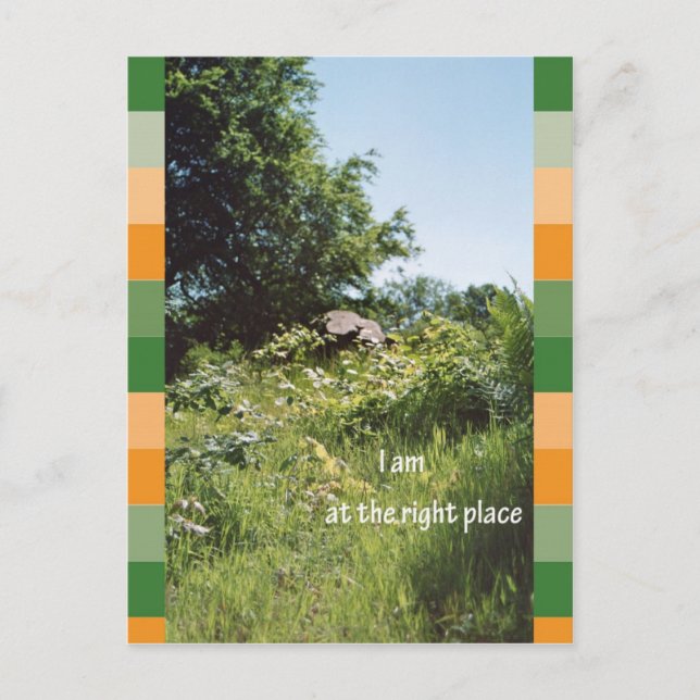 Cartão Postal Estou no lugar certo (Frente)