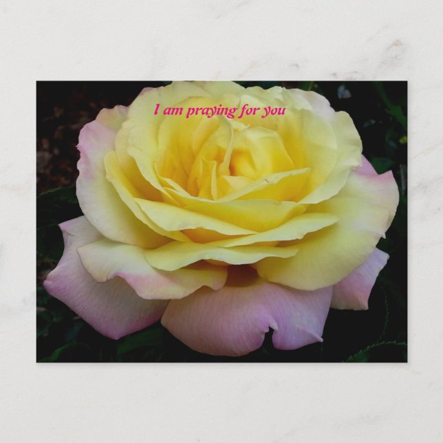 Cartão Postal Estou rezando por você (Frente)