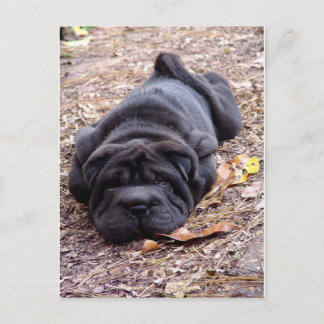 Cartão Postal Estou todo jogado fora!