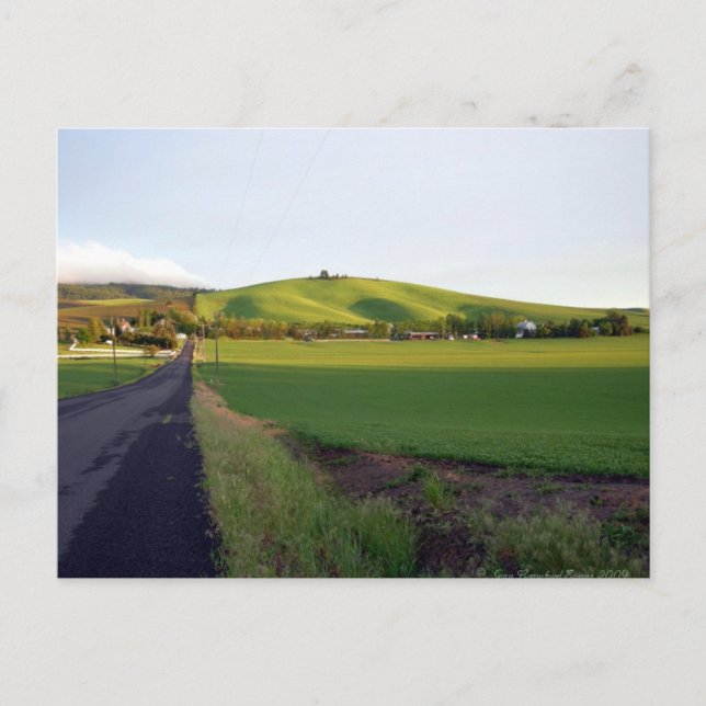 Cartão Postal Estrada (Frente)