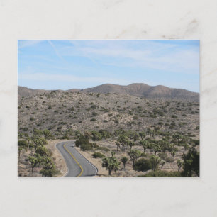 Cartão Postal Estrada Aberta - Árvore Joshua