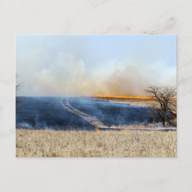 Cartão Postal Estrada através da Prairie Burn 24 x 16 (Frente)