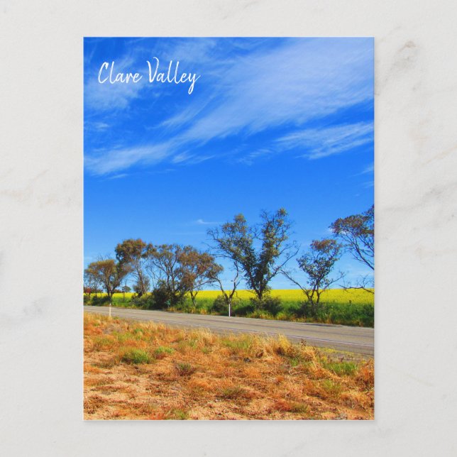 Cartão Postal estrada clare valley canola (Frente)