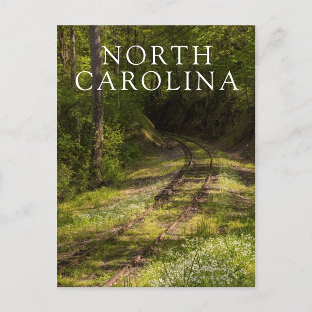 Cartão Postal Estrada De Ferro Abandonada Numa Floresta (Frente)