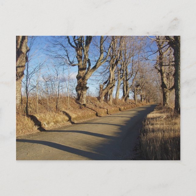 Cartão Postal Estrada de novembro (Frente)