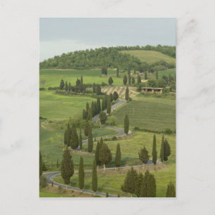 Cartão Postal Estrada de Pienza a Montepulciano,