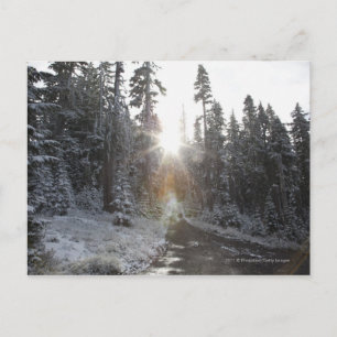 Cartão Postal Estrada de sujeira de neve indo para o sol