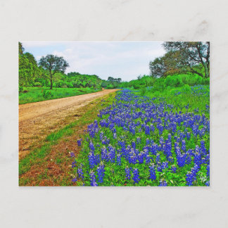 Cartão Postal Estrada de trás da Bluebonnet