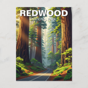 Cartão Postal Estrada no Parque Nacional de Redwood