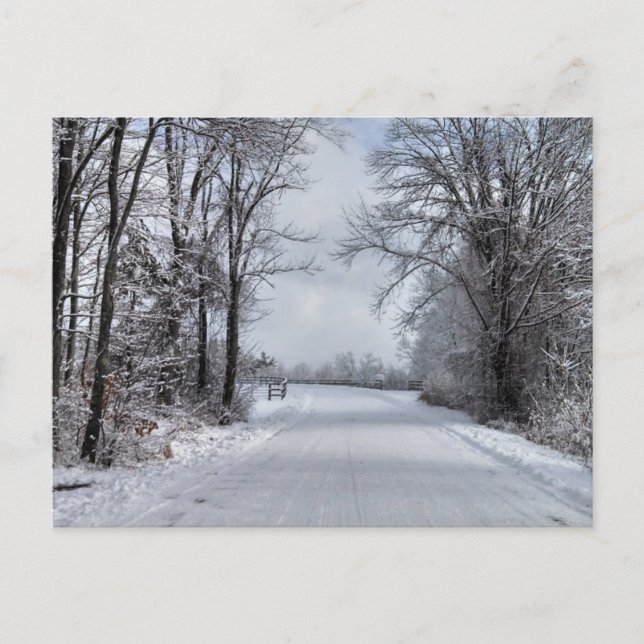 Cartão Postal Estrada para o inverno (Frente)