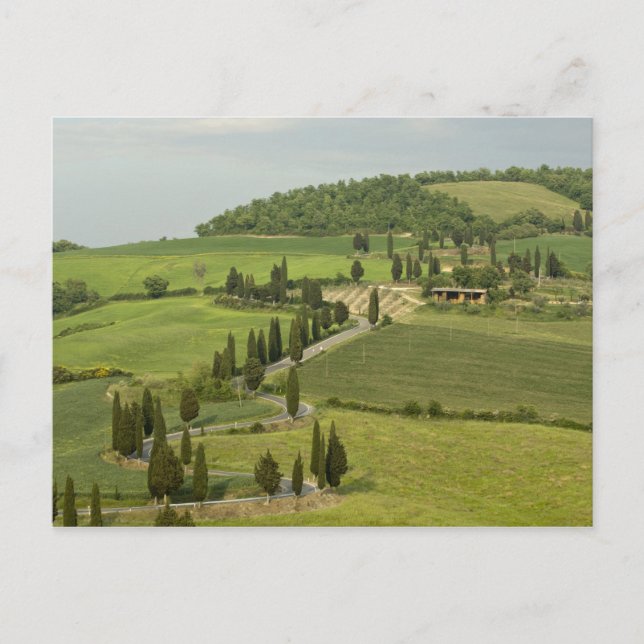 Cartão Postal Estrada: Pienza — Montepulciano, (Frente)