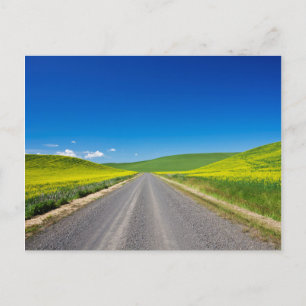 Cartão Postal Estrada rural através de campos de canola de prima
