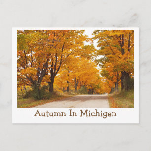 CARTÃO POSTAL "ESTRADA RURAL DE MICHIGAN TOTALMENTE ILUMINADA CO