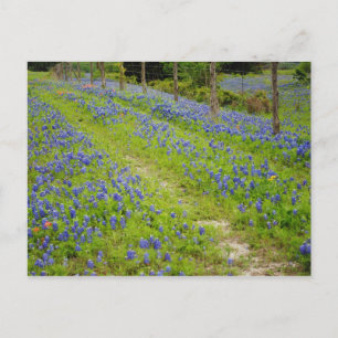 Cartão Postal Estradas de Camas