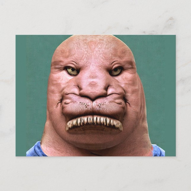 Cartão postal estranho do Sr. Morsa (Frente)