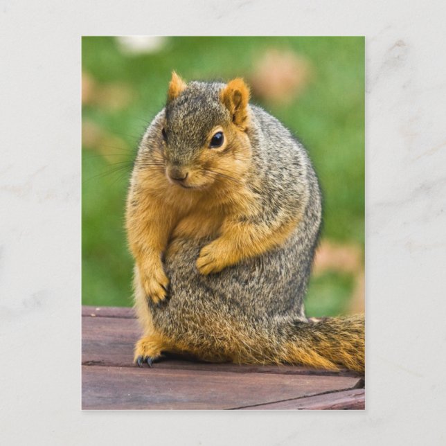 Cartão Postal Estreitando (Frente)