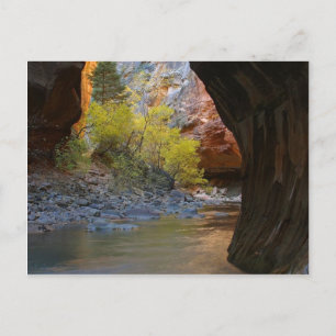 Cartão Postal Estreitos No Parque Nacional De Zion