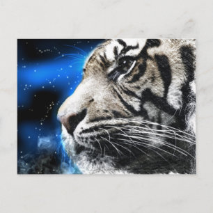 Cartão Postal estrela do céu noturno branco Tigre