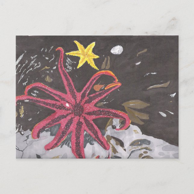 Cartão Postal Estrela do Mar (Frente)