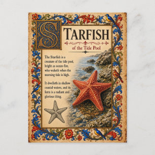 Cartão Postal Estrela-do-mar, Arte do Bestiário Medieval