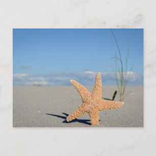 Cartão Postal Estrela do mar na praia