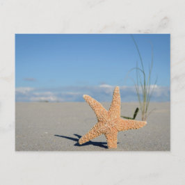 Cartão Postal Estrela do mar na praia